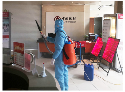 上海室内空气净化与专业除甲醛服务 冰虫消毒服务的全方位守护